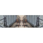container lashings
